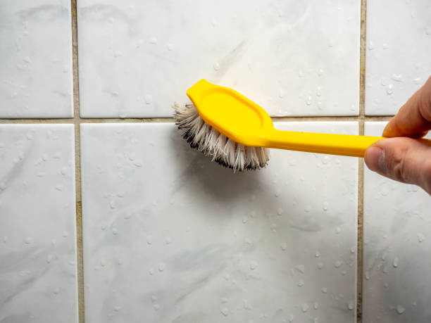 Best Commercial Mold Removal  in Chevy Chase Heights, PA