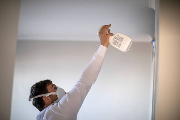 Professional Mold Removal in Chevy Chase Heights, PA
