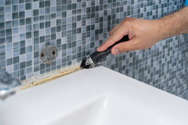 Best Mold Testing  in Chevy Chase Heights, PA