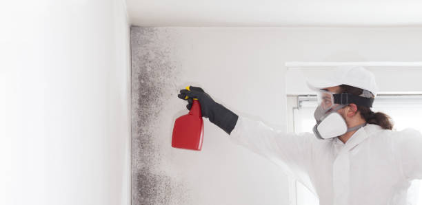 Best Residential Mold Removal  in Chevy Chase Heights, PA