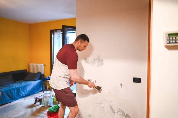 Reliable Chevy Chase Heights, PA Mold Removal Solutions